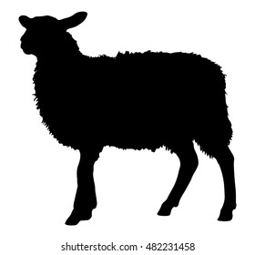 Sheep silhouette with standing pose, vector illustration