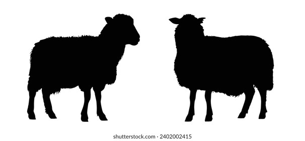 Sheep Silhouette. Sheep Vector Illustration.