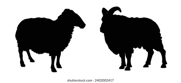 Sheep Silhouette. Sheep Vector Illustration.