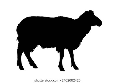 Sheep Silhouette. Sheep Vector Illustration.