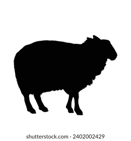Sheep Silhouette. Sheep Vector Illustration.