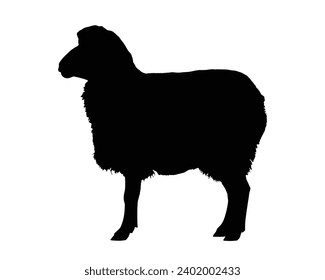 Sheep Silhouette. Sheep Vector Illustration.