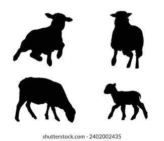 Sheep Silhouette. Sheep Vector Illustration.