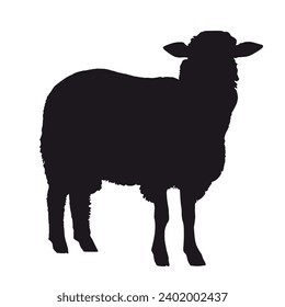 Sheep Silhouette. Sheep Vector Illustration.