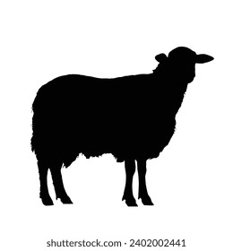 Sheep Silhouette. Sheep Vector Illustration.