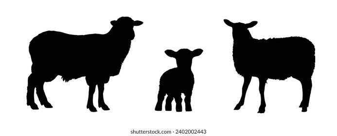 Sheep Silhouette. Sheep Vector Illustration.