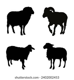 Sheep Silhouette. Sheep Vector Illustration.