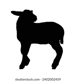Silhouette de oveja. Ilustración del vector ovino.