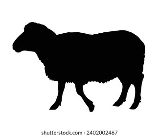 Sheep Silhouette. Sheep Vector Illustration.