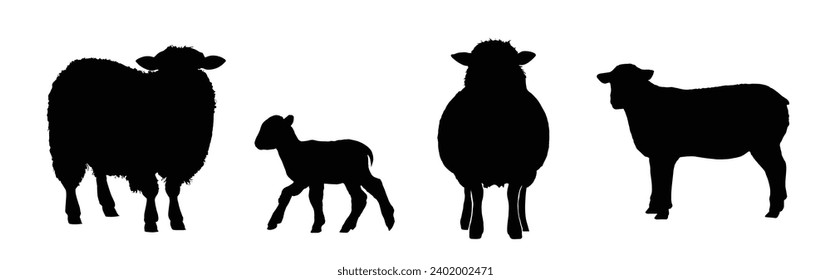 Sheep Silhouette. Sheep Vector Illustration.