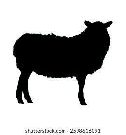 sheep silhouette - vector illustration	