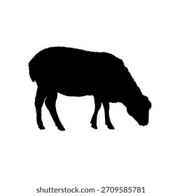 Silueta de oveja - Ilustración vectorial	
