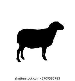 Silueta de oveja - Ilustración vectorial	