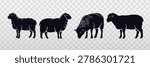 Sheep silhouette vector set with four farm animal poses, including standing and grazing sheep, ideal for livestock icons, agriculture labels, ranch graphics, stickers, decals, and rural design projects.