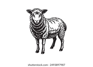 Sheep Silhouette Vector Style With White Background