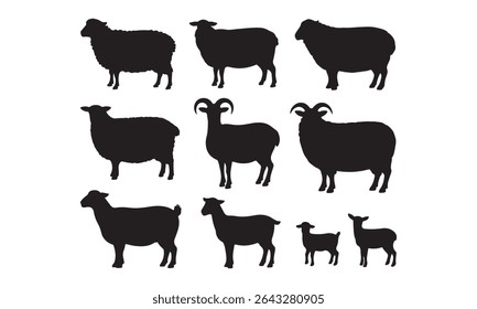 Sheep silhouettes farm animals collection vector graphics