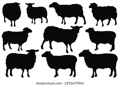 Sheep silhouettes set isolated flat vector illustration on white background.
