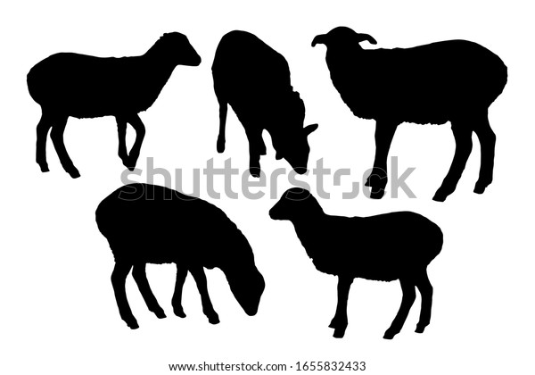 Sheep Silhouettes Set On White Background Stock Vector (Royalty Free ...