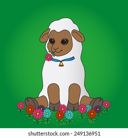 Sheep sits on a green field with a flower