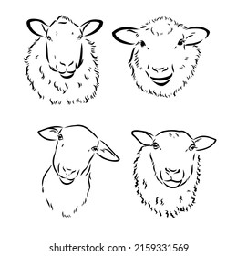 Sheep in sketch style. Vector illustration. Drawn by hand. Farm animals. Livestock