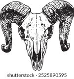 Sheep skull - hand drawn vector illustration