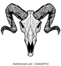 sheep skull vector Darkness underground
