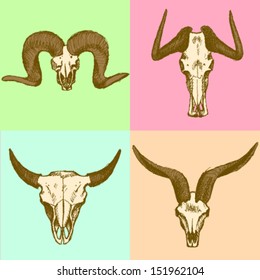 Sheep Skull Vector Sketch Background Stock Vector (Royalty Free ...