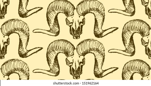 Sheep skull, vector sketch background