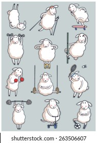 sheep. sport. set