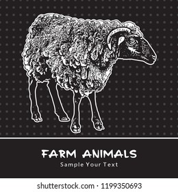 Sheep standing isolated on a black - vector graphic illustration.  Beautiful drawing portrait of a farm animal. Black and white picture is a design element and clip art. 