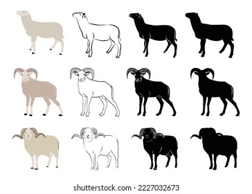 Sheep standing. Line art and solid vector illustration of sheep, hand drawn sheep.