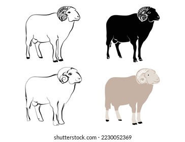 Sheep standing. Line art and solid vector illustration of sheep, hand drawn sheep.