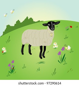 sheep standing on a field background illustration