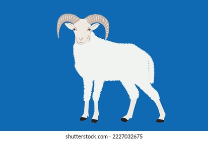 Sheep standing. vector illustration of engraving sheep hands drawing.