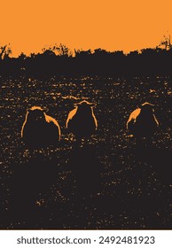 Sheep staring in field abstract silhouette