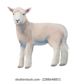 sheep with style hand drawn digital painting illustration