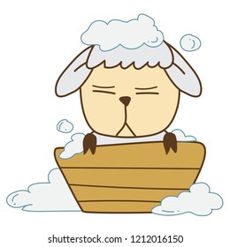 sheep is taking a bath with an annoying face