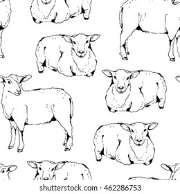 Sheep with thick fur seamless pattern, vector cloven-hoofed livestock illustration, hand drawn farm animal sketch black and white background