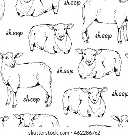 Sheep with thick fur seamless pattern, vector cloven-hoofed livestock illustration, farm animal sketch background