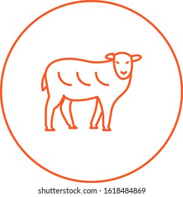 Sheep Unique Vector Line Icon