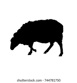 sheep vector black silhouette from the side isolated on white background