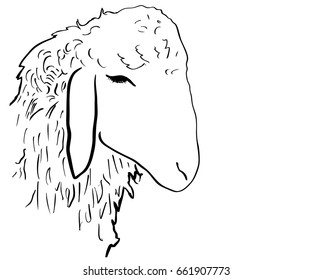 The sheep vector cartoon