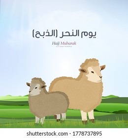 Schaf-Vektordesign-Grußkarte für hajj, arabisch bedeutet Schlachttag - Eid Adha Mubarak - Vektorgrafik 