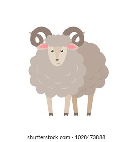 Sheep vector flat illustration isolated on white background. Farm animal lamb cartoon character.