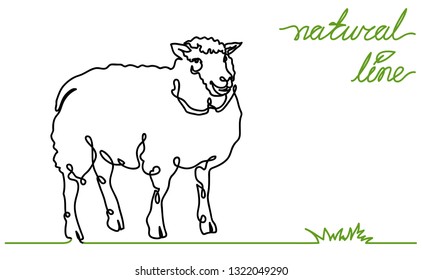 Sheep vector flat illustration on white background. Continuous line, creative design suitable for packaging