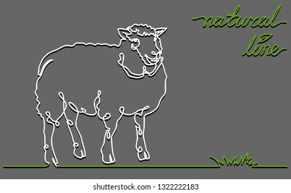 Sheep vector flat illustration on gray background. Continuous line, creative design suitable for packaging