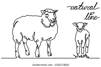 Sheep vector flat illustration on white background. Continuous line, creative design suitable for packaging
