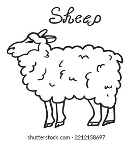 Oveja. Icono dibujado a mano por vectores. Animales de granja.