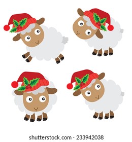 Sheep vector illustration