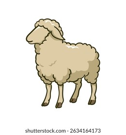 Sheep Vector Illustration animal eid adha